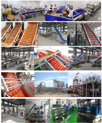 Fresh Tomato Sauce Processing Equipment