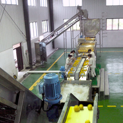 Professional NFC Orange Juice Production Line Capacity Customized