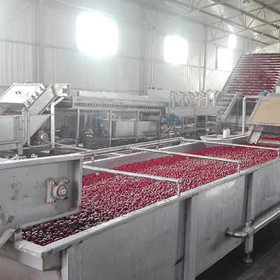 Fruit Juice Processing And Packaging Line Production Capacity Customized