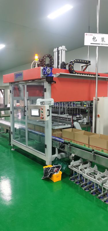 2 Heads Automatic Box Packing Machine