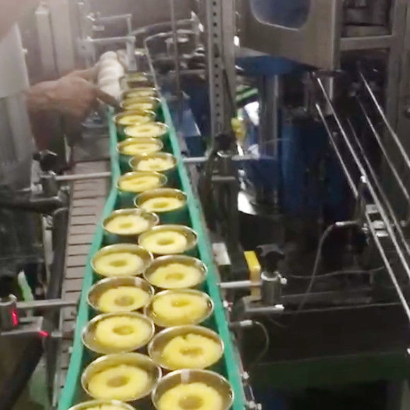 Pineapple Canning Production Line High Efficiency Fast Speed