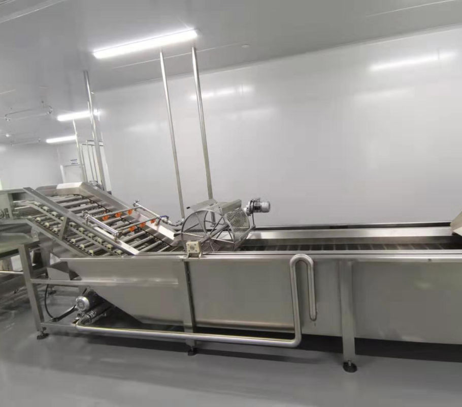 Bubble Type Fruit / Vegetable Washing Machine Production Capacity Customized